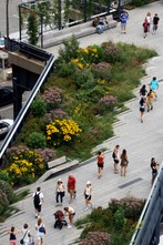 Chelsea-Grassland 583x800